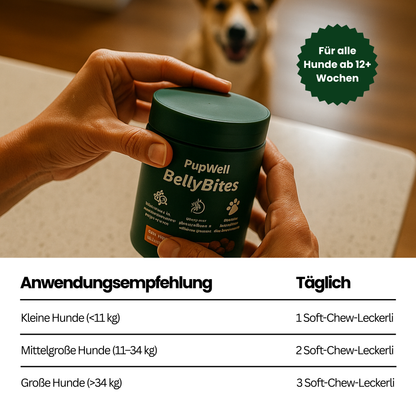 Pupwell - BellyBites