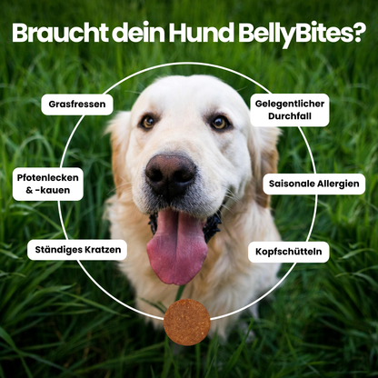 Pupwell - BellyBites